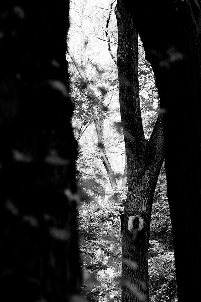 Fotografii de la cursul foto al lui Andrei