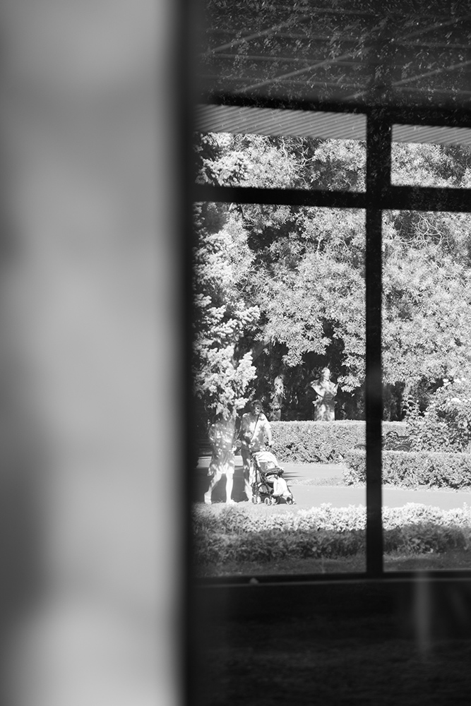 Fotografii de la cursul foto al lui Andrei